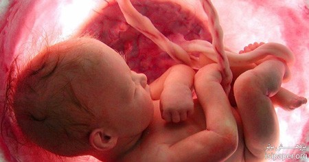 دانلود سوالات دکتری آناتومی و جنین شناسی (93و94و95و96و97)